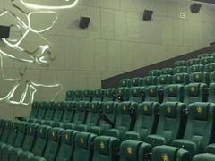 android_upload_pic-星辉电影公园(时代广场CC MALL店)