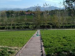 -洨河生态公园