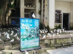 -赤坎·广东华侨国际旅游度假区