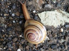 -龙坑生态保护区