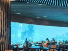 -涛·海底餐厅·美人鱼·自助餐·海底隧道(三亚海棠湾洲际度假酒店)