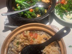 -大榕树下顺德菜(融创茂店)