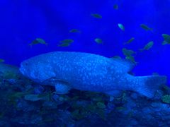 -成都浩海立方海洋公园