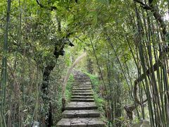 -江心屿景区