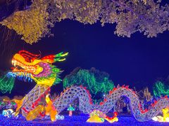 -广东花都香草世界旅游度假区