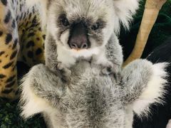 -6IXTY 8IGHT(朝阳大悦城店)