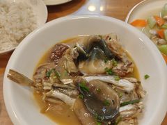 -9号小厨师(端平桥店)