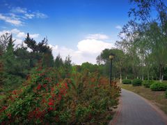 -永定河休闲森林公园