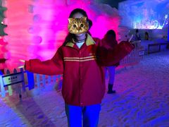 -世界之窗阿尔卑斯冰雪世界