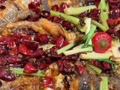 -老板恋上鱼(恒隆广场店)