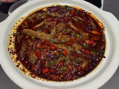 情妹耙泥鳅-情妹耙泥鳅·江湖川菜(科华店)