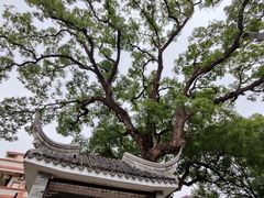 -中山詹园