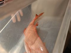 -余欢领鲜火锅(新街口店)