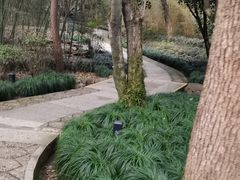 -兰亭风景区
