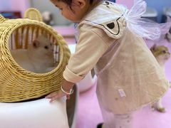 -爪爪喵星球·猫舍(前海卓越店)