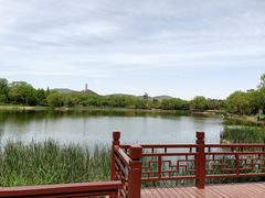-北坞公园