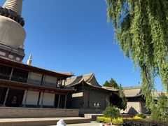 -张掖大佛寺景区