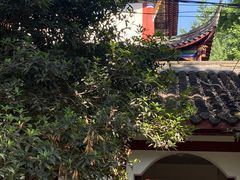 -青羊宫