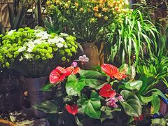 -春暖花开(西溪店)