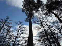 -轻井泽王子购物广场