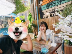 -PAPAYA泰国街头小吃(南山路店)