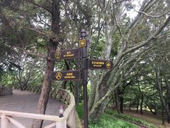 -青岛德国总督楼旧址博物馆