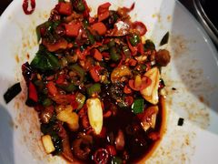 -富正毅三下锅(体育馆店)