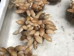 -青石桥市场北1-27号