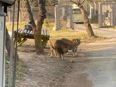 -西安秦岭野生动物园