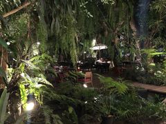 -Fern Forest Cafe