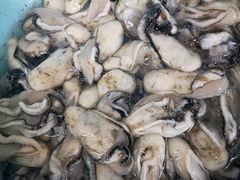 -蚝乡农庄(铁涌赤岸店)