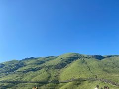 -萍乡武功山风景名胜区