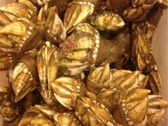 iphone_upload_pic-合家小菜餐馆(新诚花苑店)