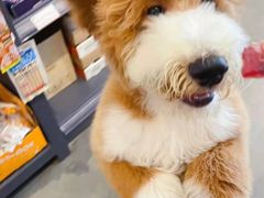 -萌兽医馆·眼科·异宠专科(三里屯店)