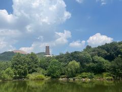 -牛首山文化旅游区