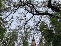 -北京石刻艺术博物馆(五塔寺)