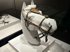 -秦始皇帝陵博物院-丽山园