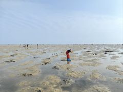 -红树林天天赶海