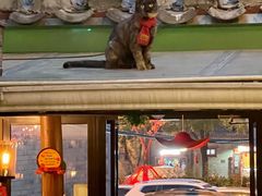 -EATALIA意塔利意式餐厅(鼓楼店)