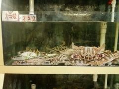 -悦来酒家·正宗闽南菜(西街店)