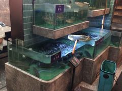 -鱼你相聚·河鲜馆(袁家岭店)