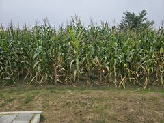 -中国天府农业博览园