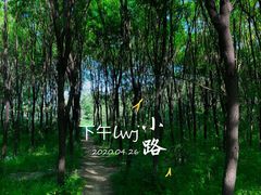 -汉长安城未央宫国家考古遗址公园