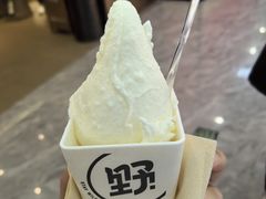 -野人先生现做冰淇淋(西安赛格店)