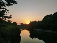 -西溪国家湿地公园