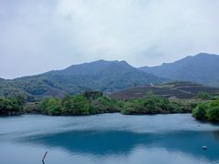 -龙坞茶村