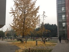 -四川大学(江安校区)