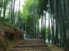 -天下银坑