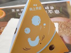 -麦当劳(塔园路店)