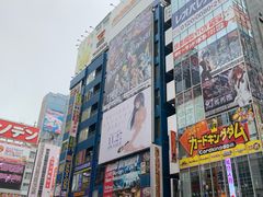 -秋叶原电器街